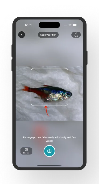 Fish Disease Identifier photo scan screen