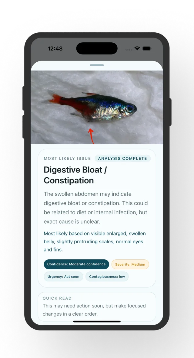 Fish Disease Identifier result screen showing likely issue